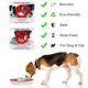 thumbnail image 5 of Cuencos para cachorros de acero inoxidable, cuencos para gatos para agua de comida, cuenco para comedero para cachorros MFZFUKR BST3007287-3, 5 of 7