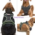 thumbnail image 2 of Chaleco de perro iluminado Vizbrite LED recargable para perros, 2 of 6