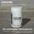 thumbnail image 3 of RAW ESSENTIAL CREATINA 510 GR 100 SERVICIOS SIN SABOR, 3 of 6