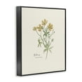 thumbnail image 4 of Stupell Industries Simple Buttercup Flowers Botanical & Floral Painting Black Framed Art Print Wall Art, 11 x 14, 4 of 10