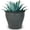 Calcite Grey, variant on Headwind Riverside Collection – 6" Calcite Grey Glazed Decorative Plant Pots Indoor with Drainage & Outdoor - Modern Flower Pot Weather-Resistant Lightweight Planter by Robert Allen