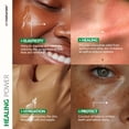 thumbnail image 3 of Set de gel de aloe vera artnaturals 600 ml (99% orgánico puro), 3 of 7