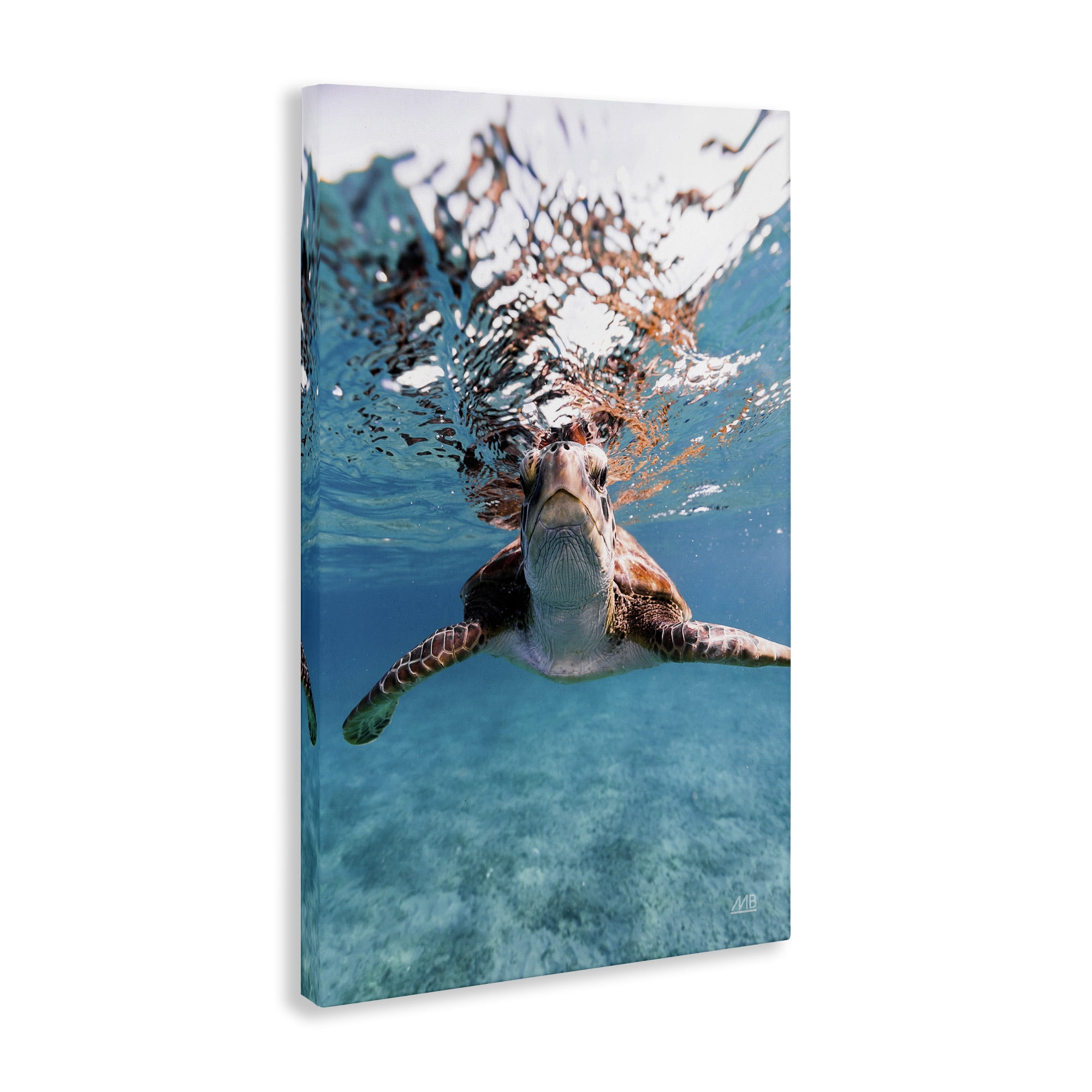 Stupell Industries Hello Sea Turtle Splash Animals Photography Wrapped Canvas Art Print Wall Art, 20 x 30