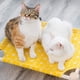 thumbnail image 2 of Cama portátil elevada para mascotas para gato, perro, verano, transpirable, desmontable, gato, gatito, cachorro, nido, hamaca, lona duradera, soporte de madera de pino, uso interior o exterior, 21 x 19 pulgadas Zhivalor Yoga y Pilates, 2 of 6