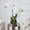 White/Yellow, variant on Vanity Art Artificial Phalaenopsis Orchids with Succulents Floral Arrangement in Pot | 2 Stems Real Touch Artificial Flowers for Living Room, Entryway Table Decorations, MLTAO-1013SS