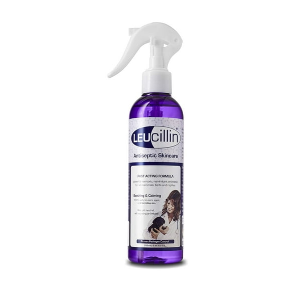 Leucillen 250 ml. Vaporisateur de Premiers Soins Hypochloreux. Usage pour Cheval Ou Animal de Compagnie