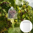 thumbnail image 4 of 100pcs Grape Protection Grow Bags Mothproof Fruit Bags Grape Nursery Bag, 4 of 8