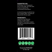 Wellness Origins Cellular Energy Focus | Full Spectrum Minerals for Enhancing Energy, Focus, 8 oz