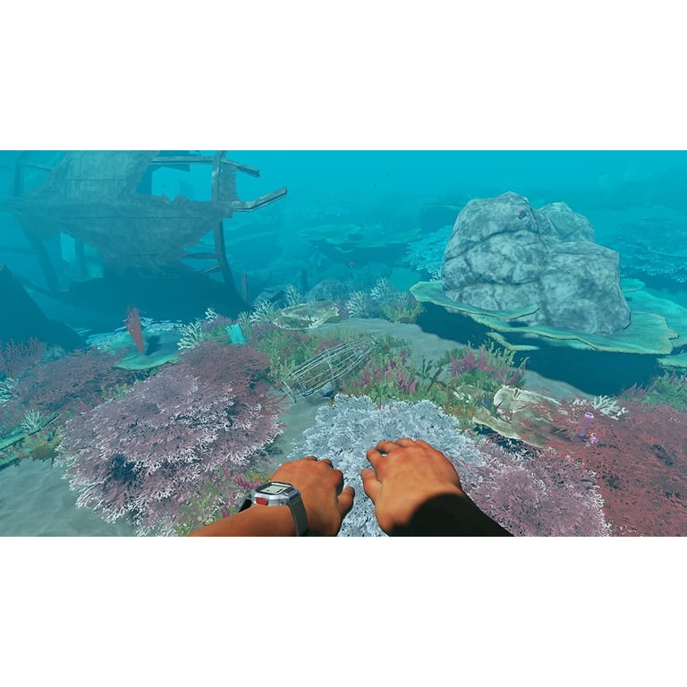 Stranded Deep (Nintendo Switch) - Walmart.com