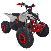 HHH Sports ATV 125cc ATV Platinum ATV CT 125-C is Fully Automatic Vitacci 125cc ATV with Reverse and Strong Tires and Matching Rims (Blue Color)