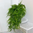 thumbnail image 4 of plantas artificiales para exterior, plantas artificiales en maceta, plantas falsas verdes realistas para decoración de hogar, oficina, escritorio y vegetación., 4 of 6