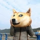 thumbnail image 3 of Almohada de peluche con forma de canguro, 40 cm, desmontable, regalo, 3 of 3