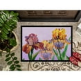 thumbnail image 3 of Purple and Yellow Iris Doormat 18x27, 3 of 4