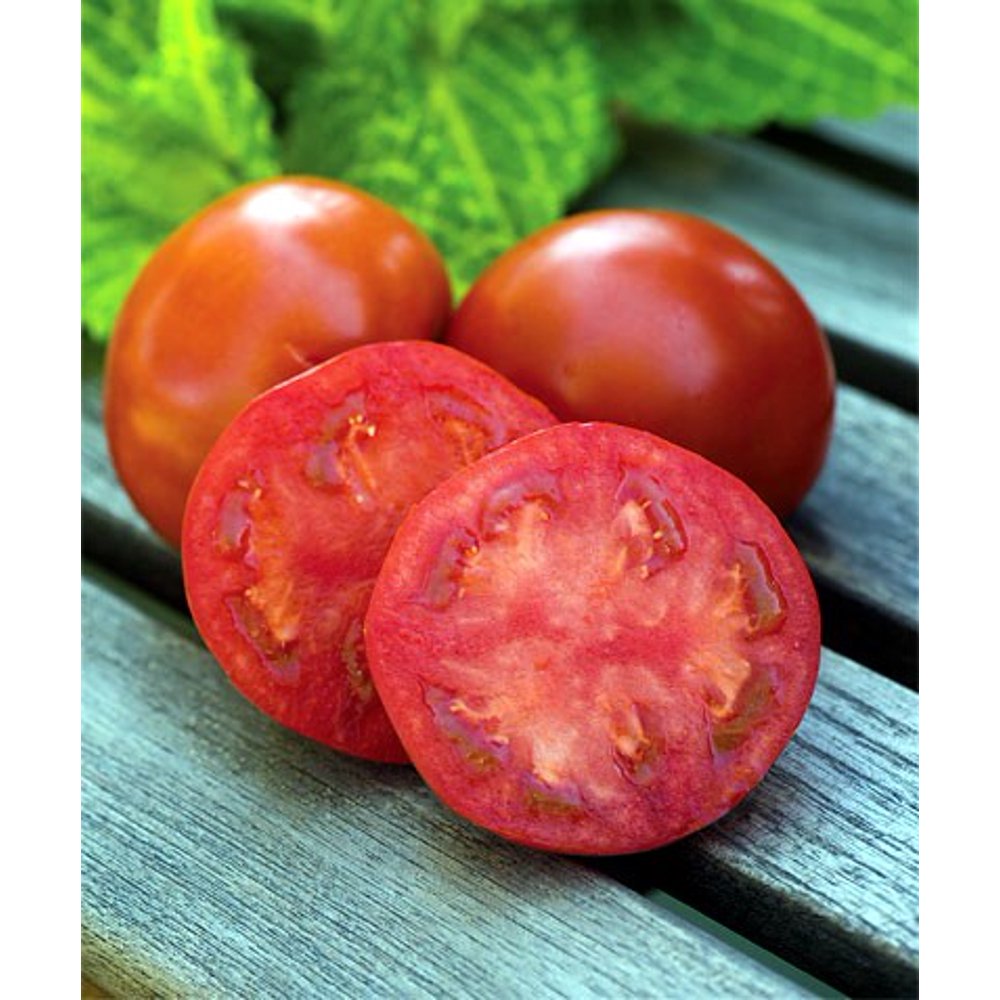 Sweetie Seedless Hybrid Tomato 10 Seeds Juicy/Tasty