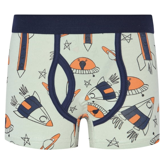 Qopobobo Boxer Briefs Boys Cotton Boxer Briefs Dinosaur Polar Bear Toddler Kids Underwear Light Green,6-7 Years