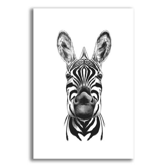 Epic Art 'Zebra Illustration' by Incado, Acrylic Glass Wall Art, 16"x24"