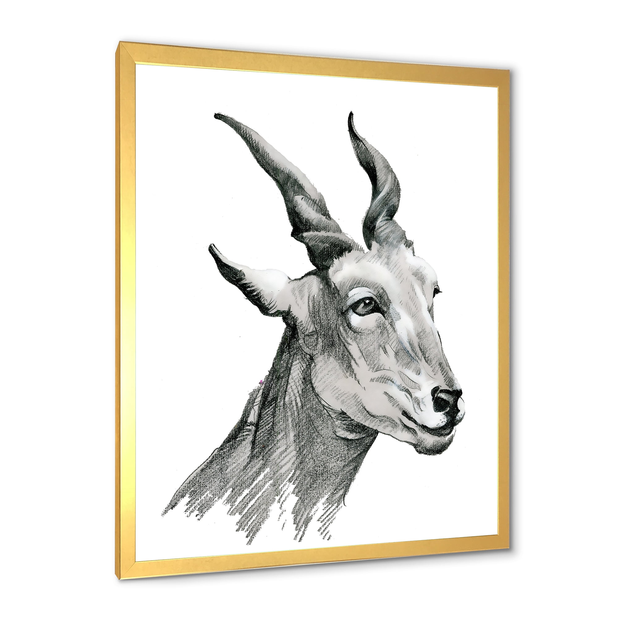 Designart 'Black and White Portrait Of Goat I' Farmhouse Framed Art Print