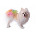 thumbnail image 2 of Pomeranian Dog Grooming Colorful Wall Mural by Wallmonkeys Peel and Stick Graphic (24 in W x 18 in H) WM236877, 2 of 4