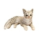 thumbnail image 2 of Lindo gato de peluche de almohada, juguete suave de simulación de animal, muñeca de gato, mascota para fiesta 29cm, 2 of 9