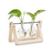 thumbnail image 1 of Jarrón de vidrio transparente - Jarrón de cristal decorativo - Hogar u oficina - Regalo de boda, dos botellas oso de fresa Electrónica, 1 of 5