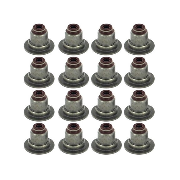 Intake and Exhaust Valve Stem Seal Kit - Compatible with 2013 - 2019 Ford Escape 2014 2015 2016 2017 2018