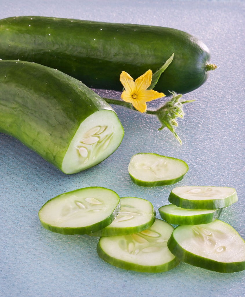 Bonnie Plants Burpless Bush Cucumber 19.3 oz.