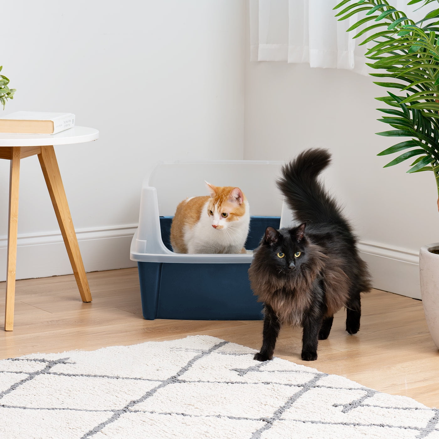 IRIS Extra Large Open Top Cat Litter Box with Scatter Shield, Sturdy Open Air Kitty Litter Pan with Tall Spray, Navy