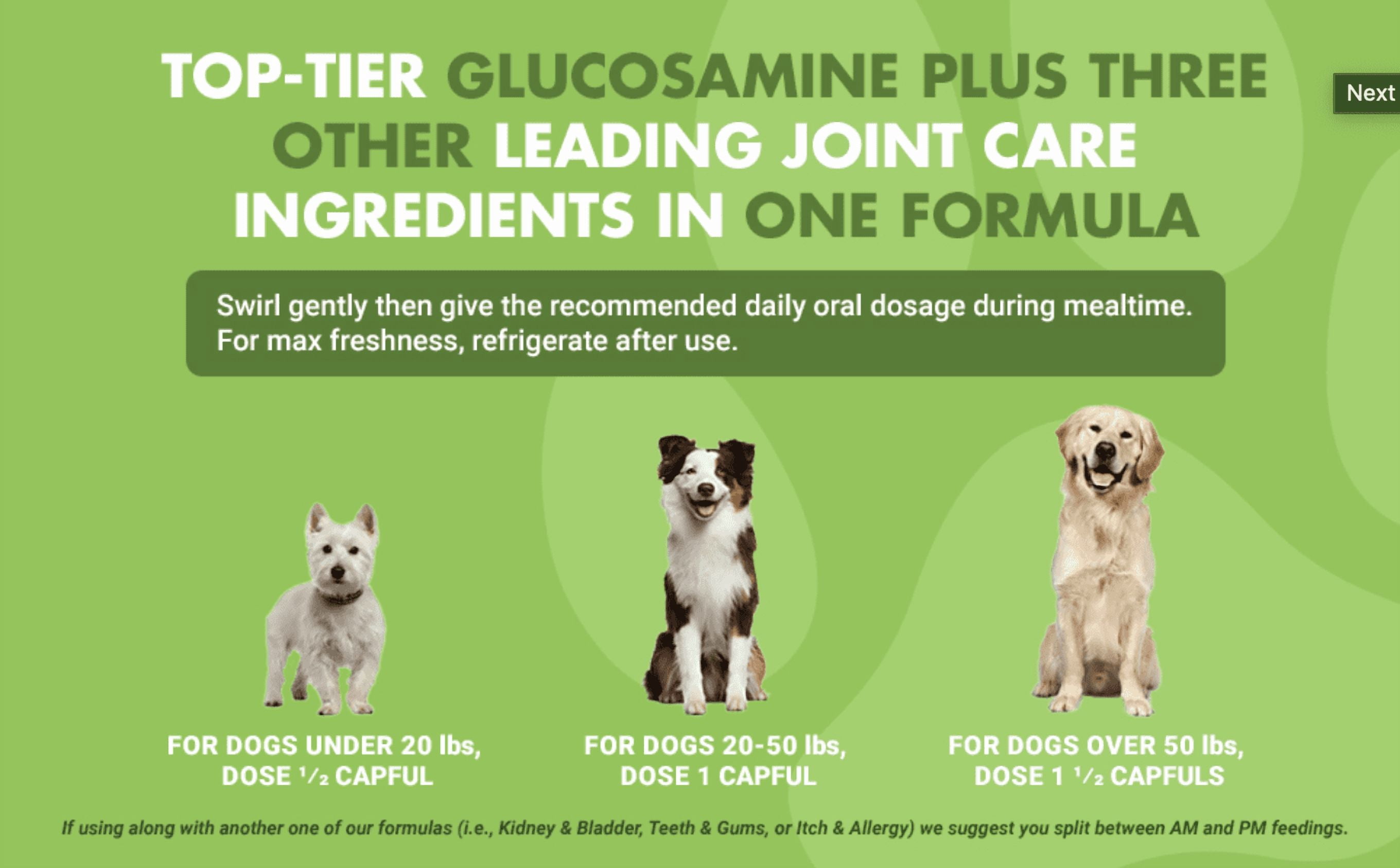 (2 pack) Liquid-Vet Hip & Joint Wellness Supplement for Dogs with Glucosamine, Chicken, 16 oz.