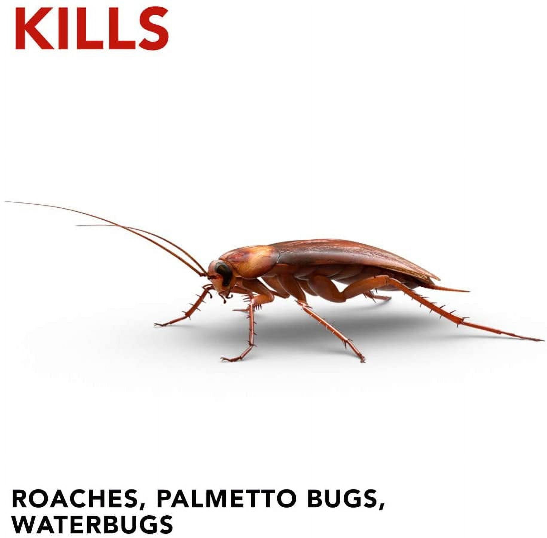 Raid Double Control Small Roach Baits Plus Egg Stopper, 12 CT (Pack -3)
