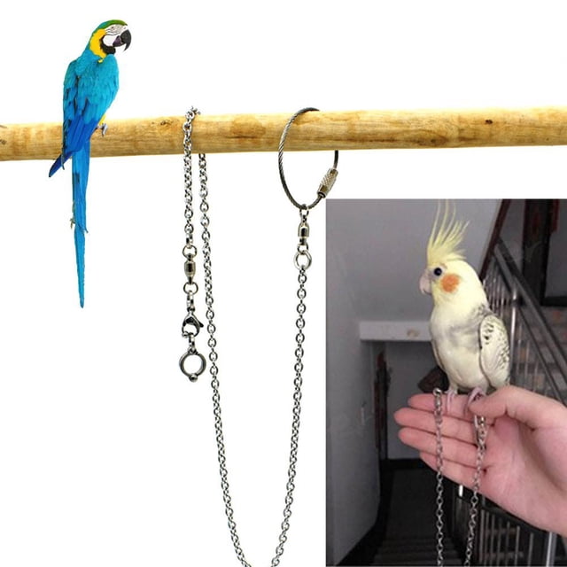 Bird Foot Stand Chain Creative Stainless Steel Parrot Foot Chain Bird Supplies
