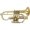 Lacquer, variant on Getzen 3810 Custom Series C Cornet Silver