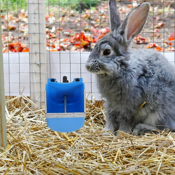 Baluue Rabbit Waterer Metal Water Bowl Blue Stainless Steel 1Set