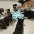 thumbnail image 5 of EFINNY Durable PP Multi Function Pet Bowl Set for Cats (6 Pack), 5 of 5
