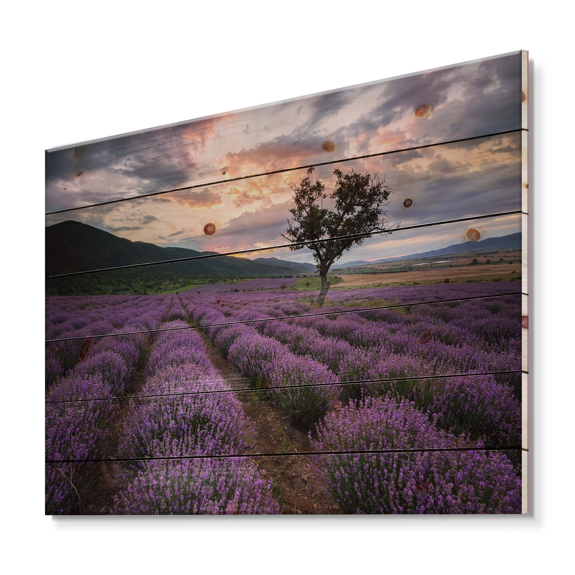 Designart 'Lavender Field At Sunrise III' Farmhouse Print on Natural Pine Wood