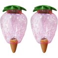 thumbnail image 2 of 2 piezas de botella de riego cónica de 500 ml, bola de arcilla para plantas de interior, sistemas de riego automático para macetas, dispensador de agua para plantas de vacaciones, 2 of 5