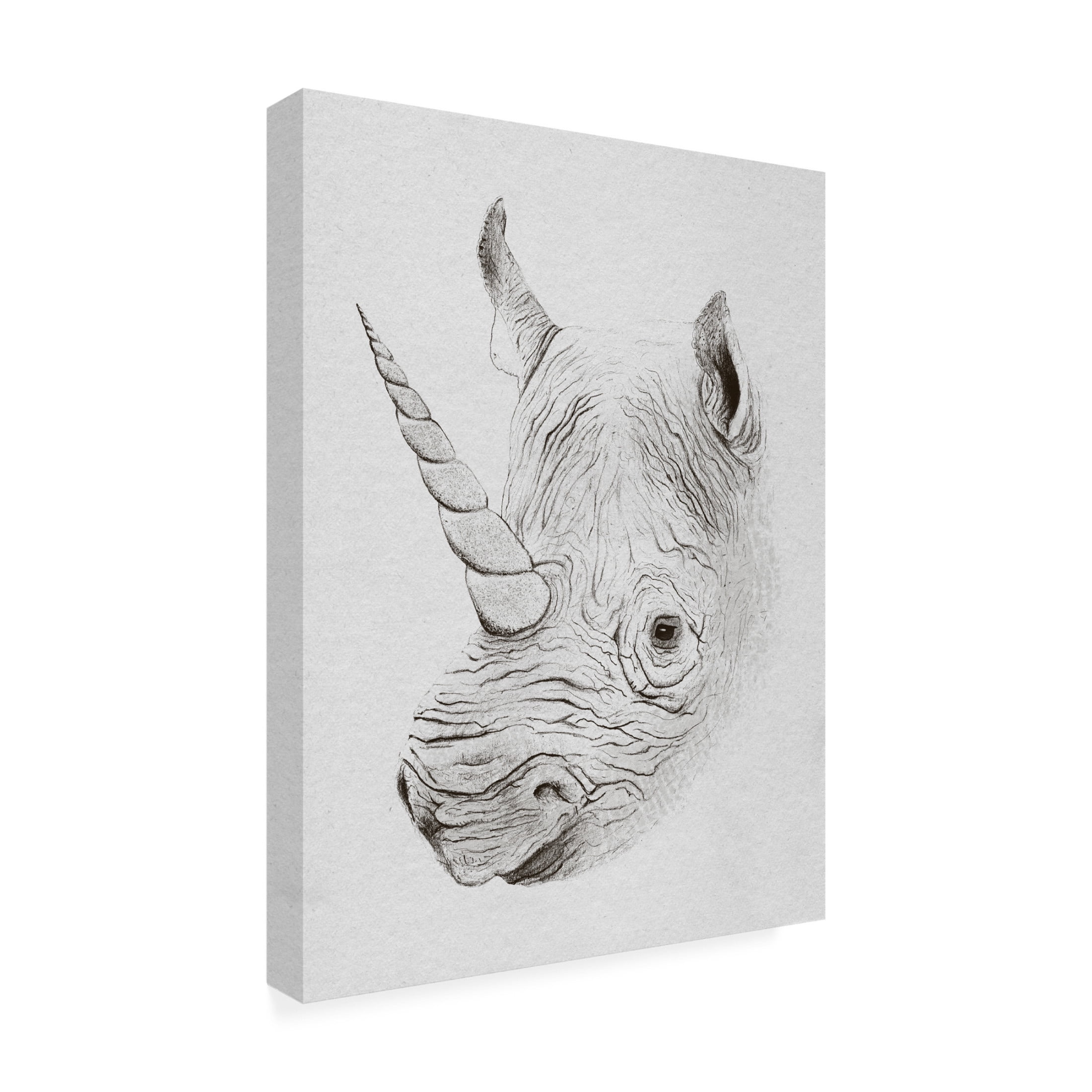Trademark Fine Art Florent Bodart Rhinoplasty Canvas Wall Art