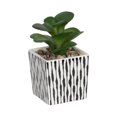 thumbnail image 1 of Kibo Mini Faux Succulent Stripe Pot, 1 of 5