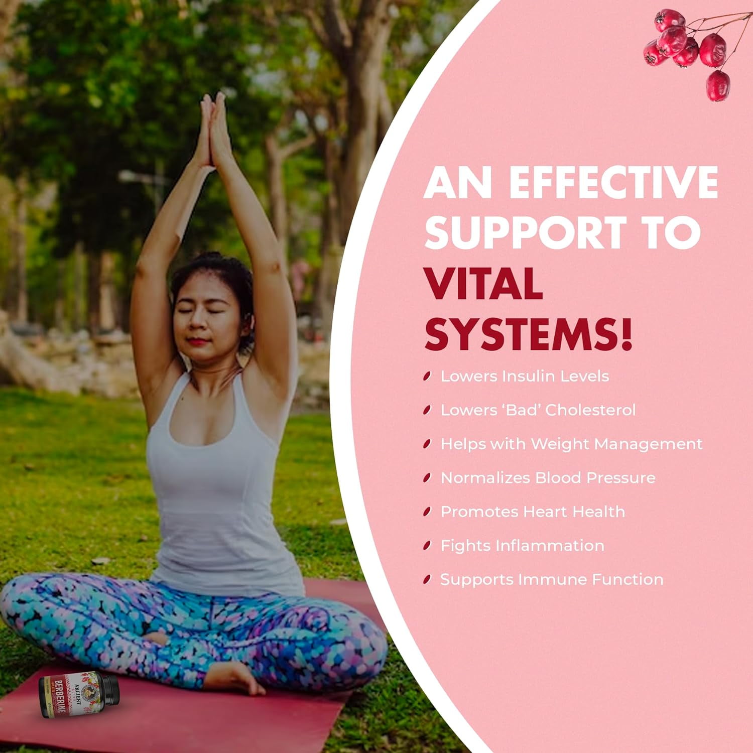Ancient Bliss Berberine HCL 1200mg with Ceylon Cinnamon, Bitter Melon and Green Tea Extract, 120 Capsules