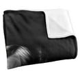 thumbnail image 3 of Harry Potter Draco Portrait Officially Licensed Silky Touch Super Soft Throw Blanket 50' x 60', 3 of 6