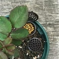 thumbnail image 2 of Fertilizer Basket Box 30 Pieces Plastic Flower Pot Fertilizer Boxes Reusable Fertilizer Cover Box Bonsai Fertilizer Containers5*2cm 30pcs, 2 of 5