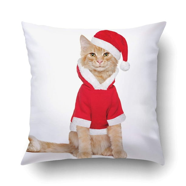 Kitten pillow case cheap