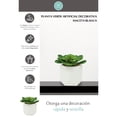 thumbnail image 5 of planta dec. blanca suculenta c, 5 of 5