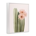 thumbnail image 2 of Stupell Industries Bohemian Pink Flower on Cactus White Framed Giclee Art, 16 x 20, by Sisi and Seb, 2 of 7