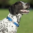 thumbnail image 2 of Personalized Custom Dog Tags Slide On No Noise Pet Cat Dog ID Name Tags for Collar Silencer, 2 of 21
