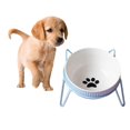 thumbnail image 3 of Cuenco de cerámica para mascotas con soporte de hierro, soporte para estante, cuenco único para mascotas, alimentación de alimentos y agua Zulema Comedero para mascotas, 3 of 8
