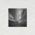 thumbnail image 3 of Luxe Metal Art 'Dandruff Tree' by Dariusz Klimczak, Metal Wall Art, 24"x24", 3 of 8