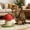 A, variant on Cat Scratching Post Tree With Stabilized Base, Natural Sisal Hanging Scratcher With Ball, Space-Saving Indoor Climbing Toy for Small Pets and Cages