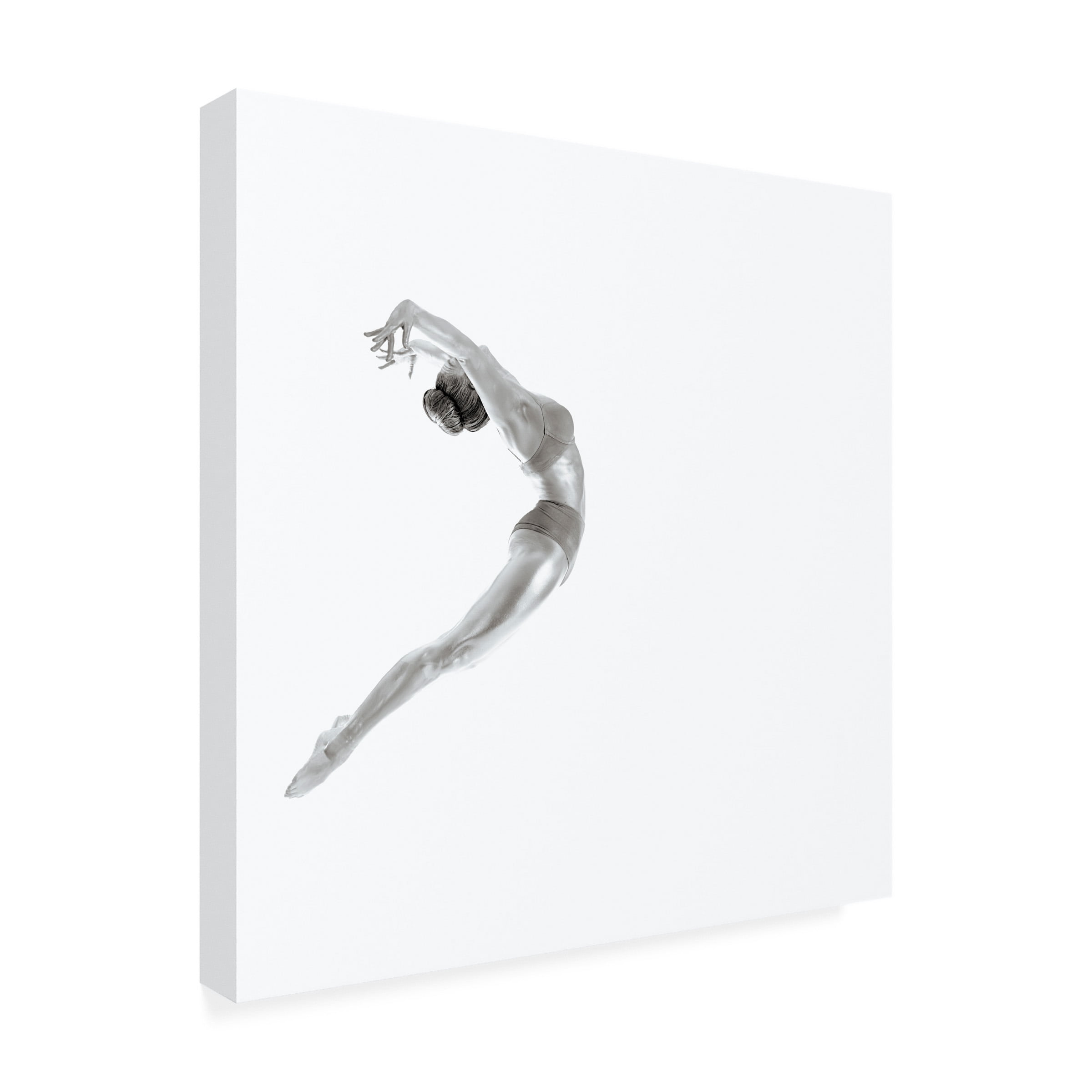 Howard Ashton Jones 'Flight Gymnastics Series' Canvas Art