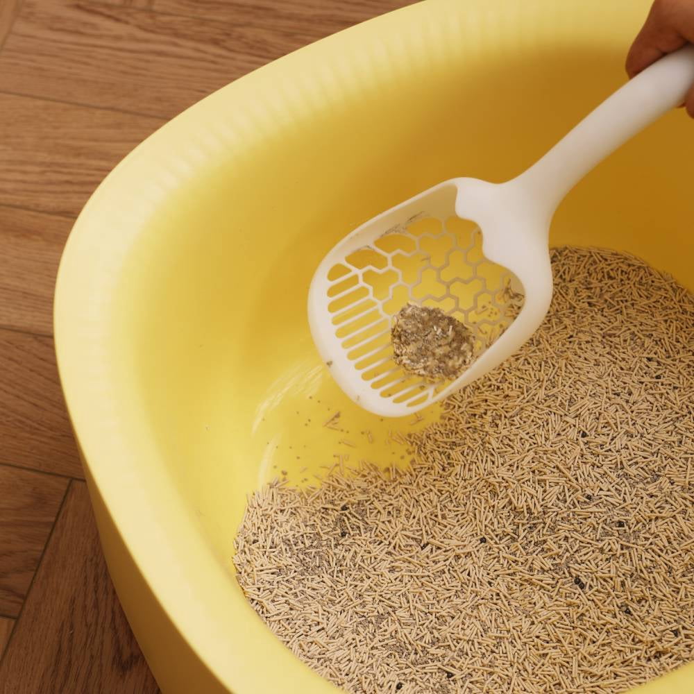 Michu Macaron High Edge Open Style Extra Large Cat Litter Box, Scoop Included Pineapple