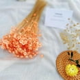 thumbnail image 6 of NOGIS 200 Stems Dried Flowers Brazilian Small Star Daisy Decorative Dried Flowers Colorful Natural Dry Flower Bouquet Mini Flower Bouquet Daisy Chamomile Flowers for DIY Home Wedding（Orange）, 6 of 7